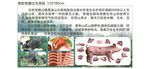黑毛猪