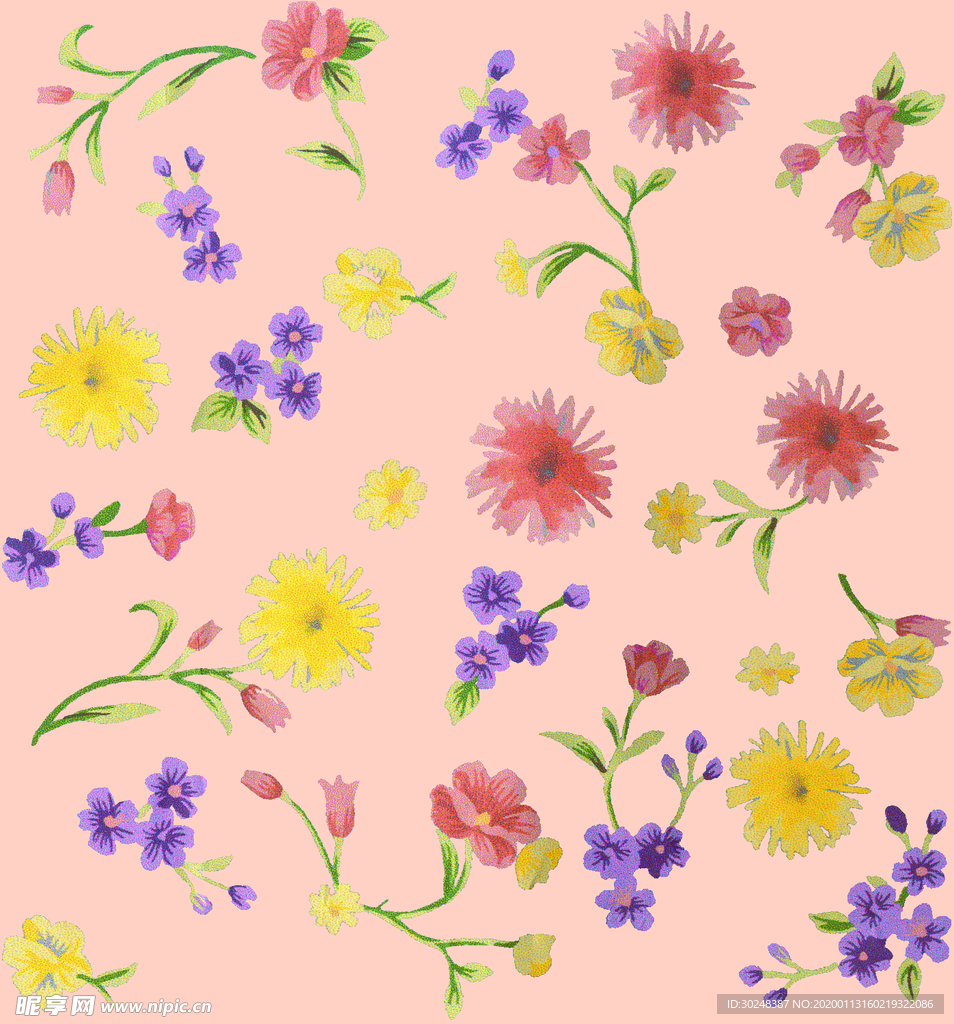月季花