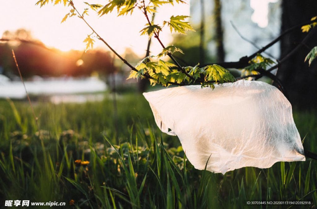 灌木丛上的白色塑料袋