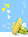 有机玉米