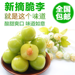 脆李