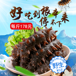 滨海海参