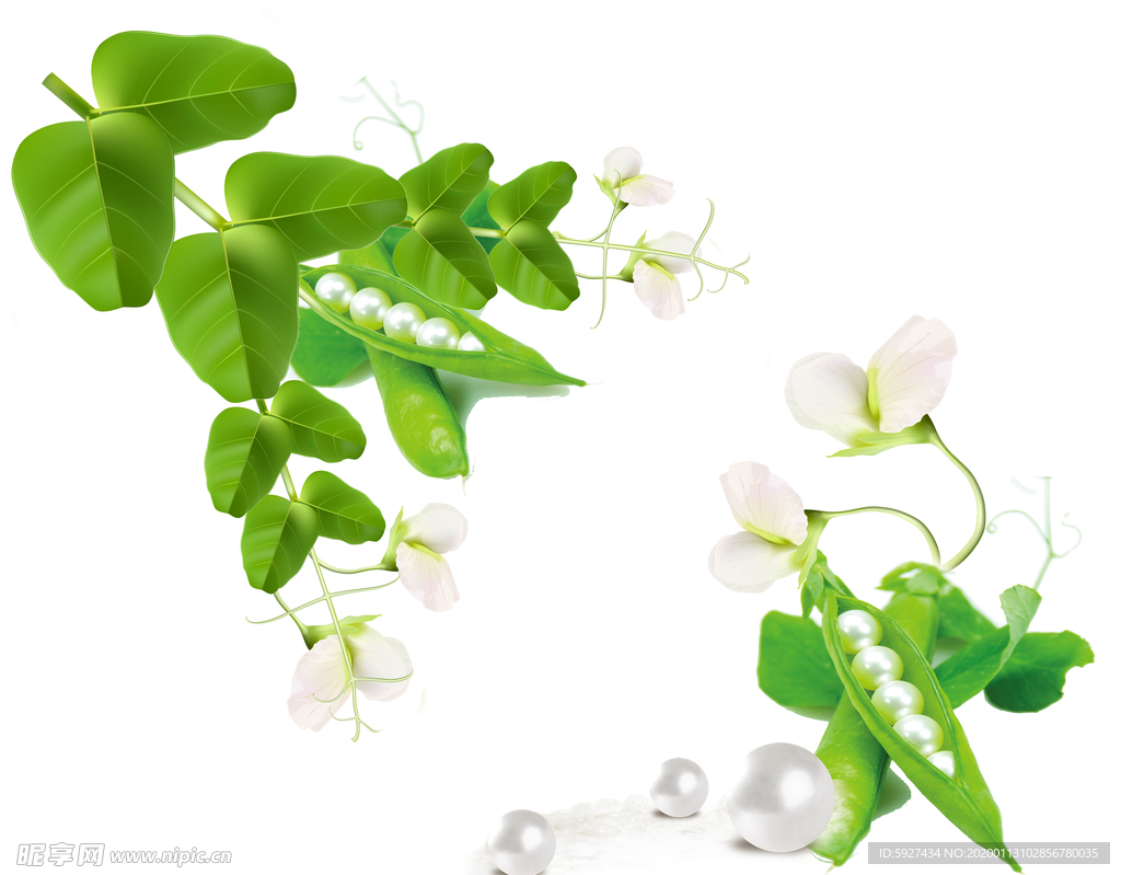 花