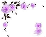 玫瑰花