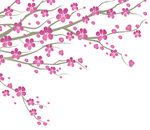 梅花
