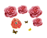 玫瑰花