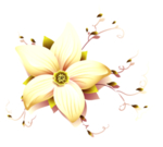 花