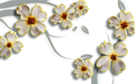 花
