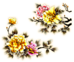 牡丹花