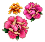 牡丹花