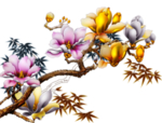 花