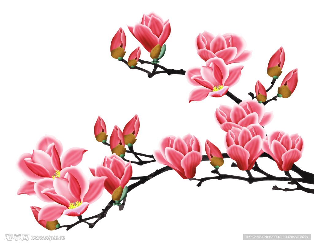 桃花