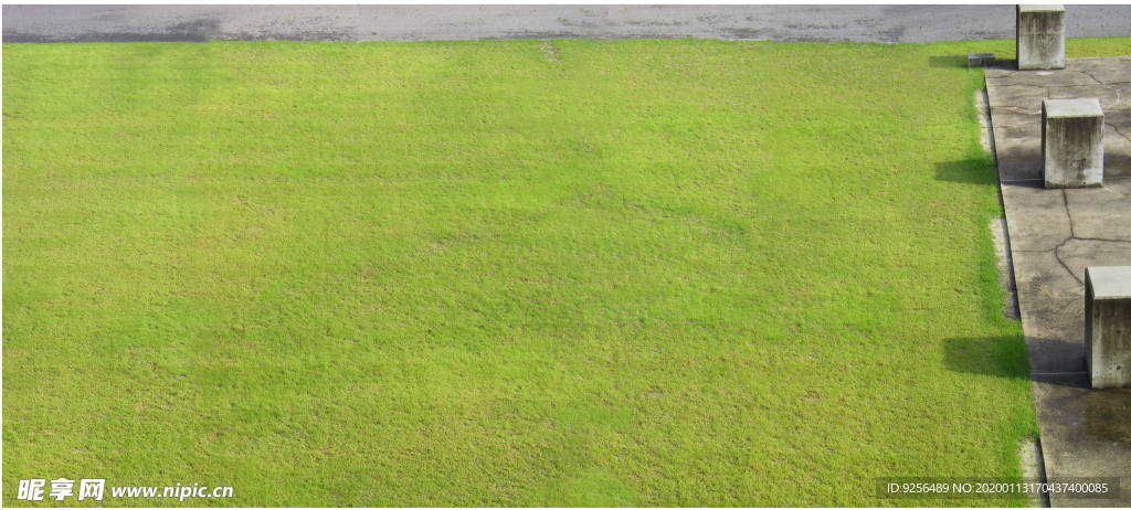 草地