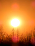 夕阳
