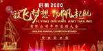 年会放飞梦想扬帆起航