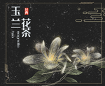 唯美玉兰花茶