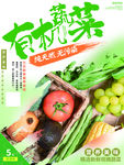 有机蔬菜