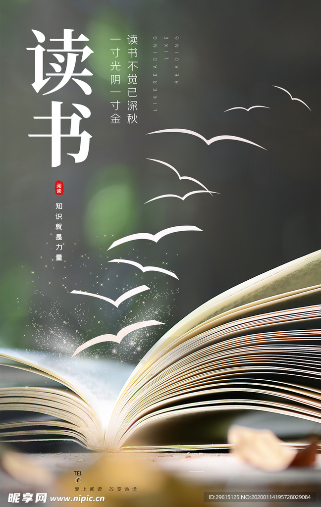阅读海报