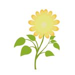 花草