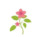 小花