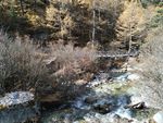 稻城亚丁  红叶 秋季  风景