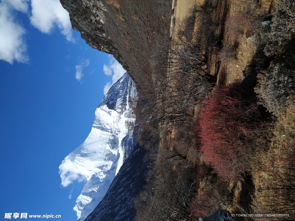 稻城亚丁  红叶 秋季  风景