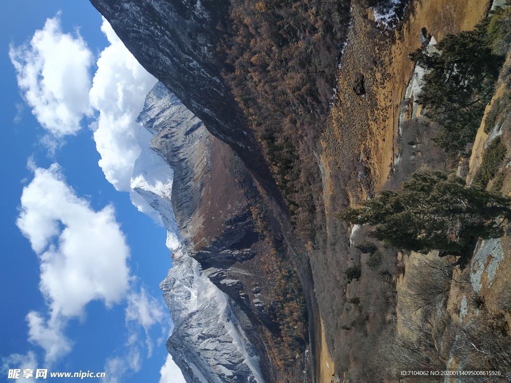 稻城亚丁  红叶 秋季  风景