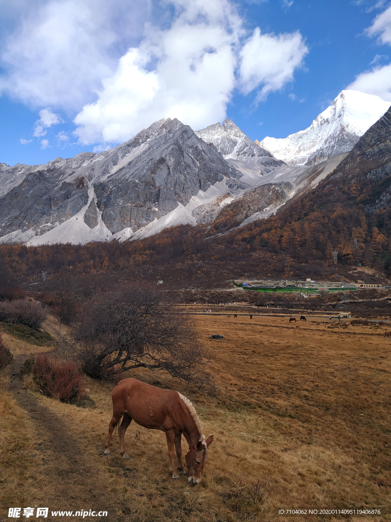 稻城亚丁  雪山  景区