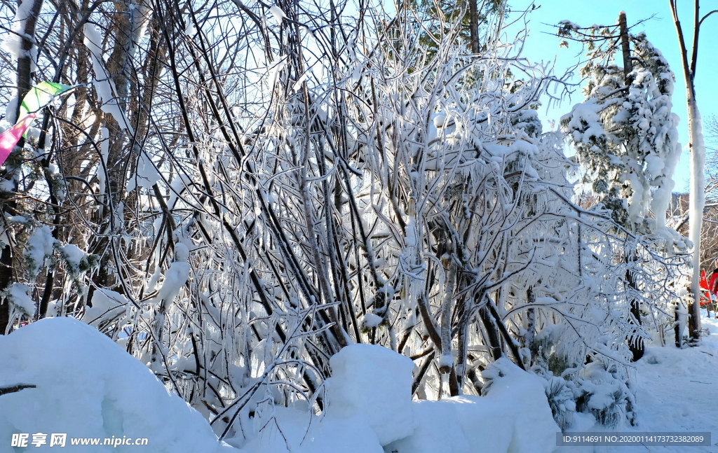 雪飞舞