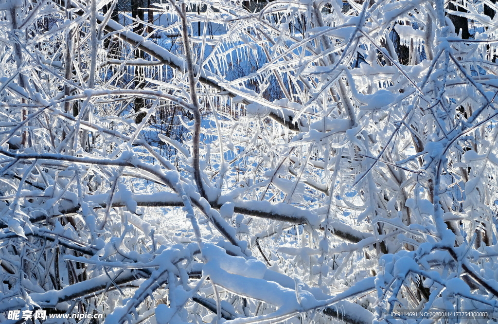 冰雪