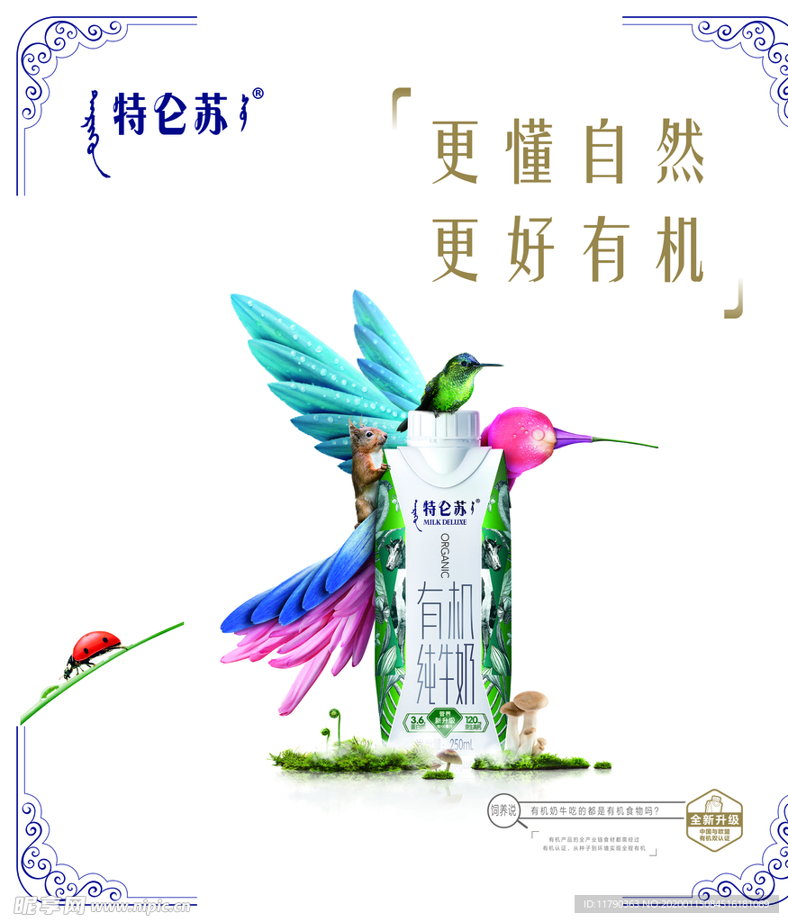 特仑苏蜂鸟系列