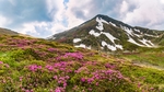 高山草地天空云彩风景