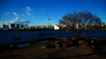 大桥建筑天空河流风景