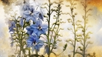 彩色植物插画蓝色花朵