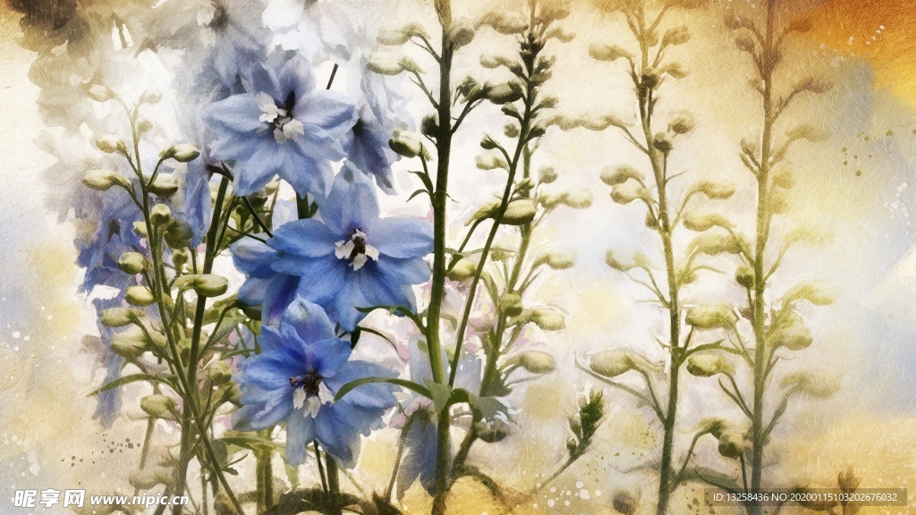 彩色植物插画蓝色花朵