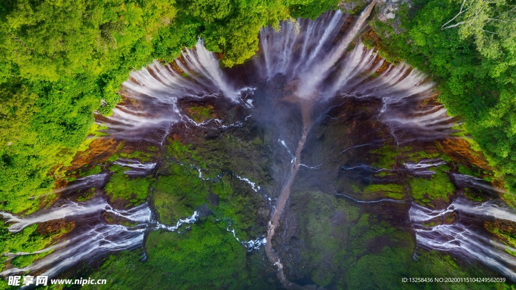 森林瀑布树木河水风景