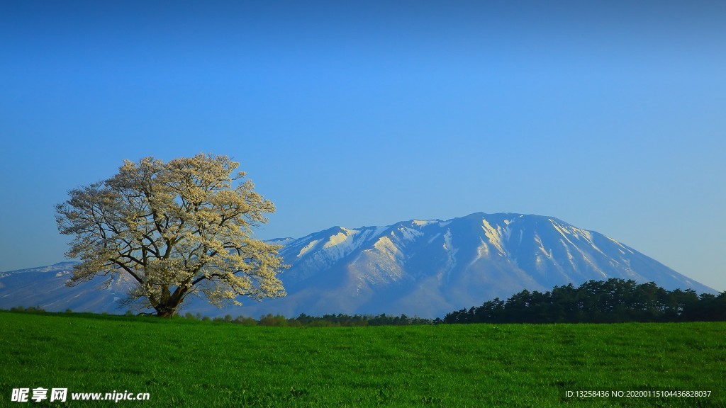 群山大树草地天空风景