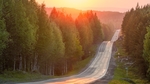 群山森林公路天空风景