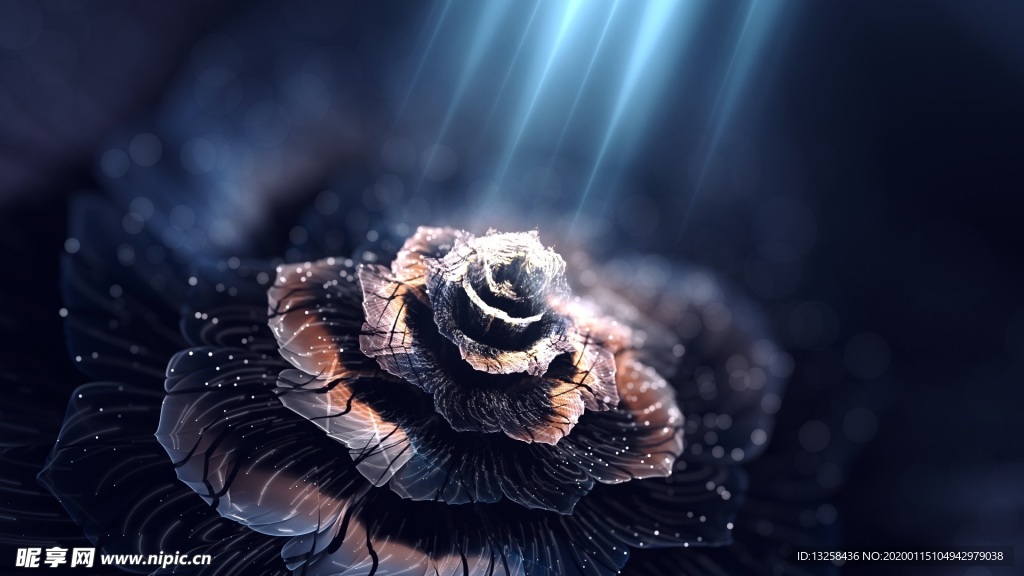 彩色花朵花纹炫光背景