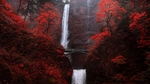 森林瀑布木桥风景红叶