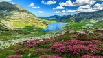 群山湖泊草地风景天空