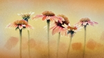 红色花朵彩色插画背景