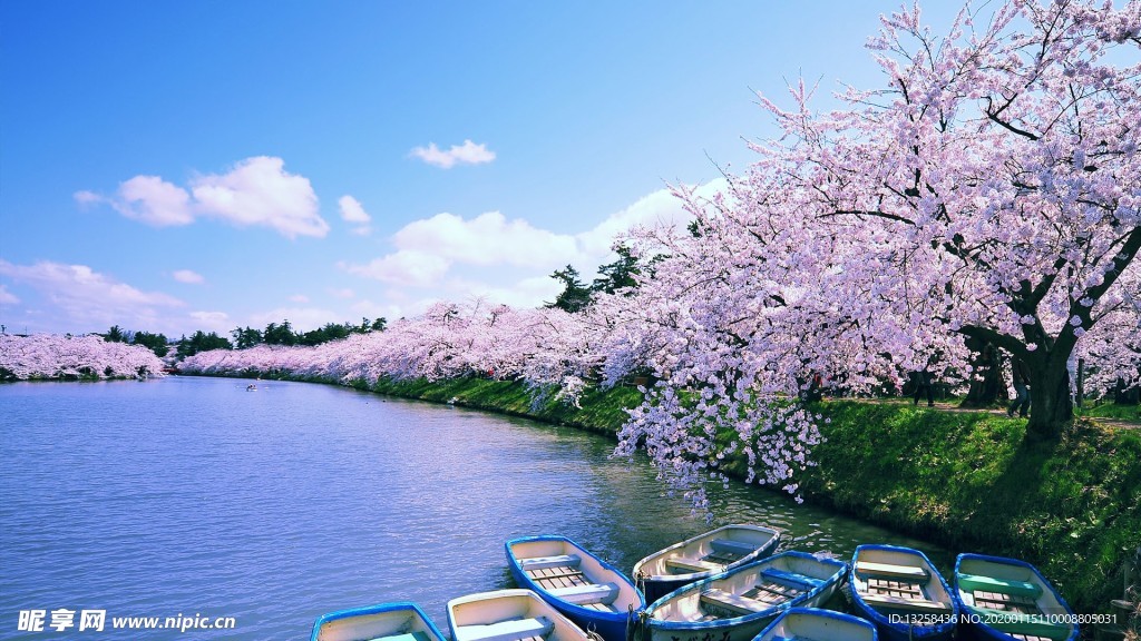 河岸桃花天空云彩风景