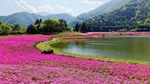 群山湖泊草地天空风景