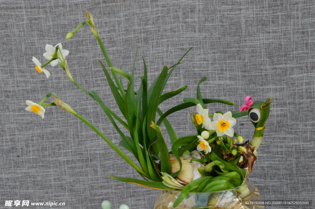 水仙花