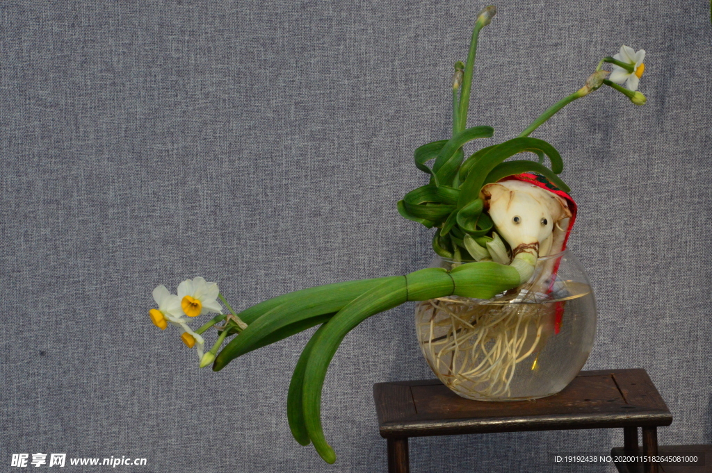 水仙花