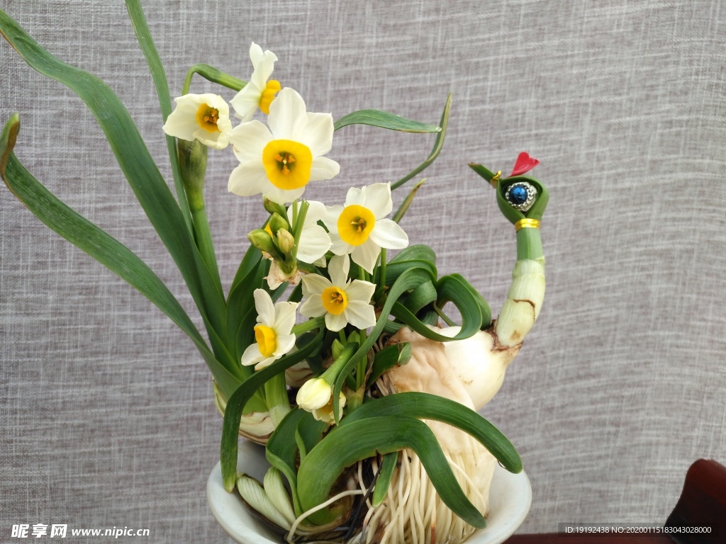 水仙花