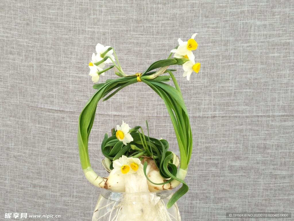 水仙花