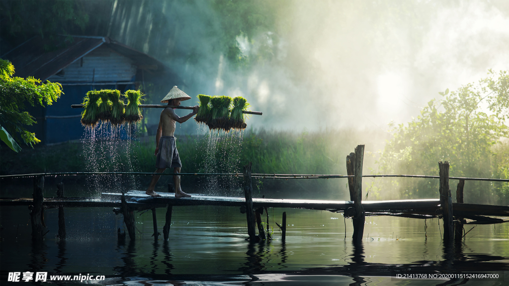 清新自然风景
