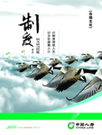 制度  企业文化  海报